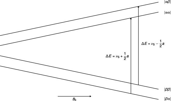 Entwicklung der Energieniveaus eines S=½, I=½ Systems mit schwacher Hyperfeinkopplung im magnetischen Feld. Entwicklung der Energieniveaus eines S=½, I=½ Systems mit schwacher Hyperfeinkopplung im magnetischen Feld.