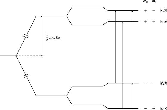 Energieniveau-Schema für ein S=½, I=½ System mit schwacher positiver Hyperfeinkopplung. Energieniveau-Schema für ein S=½, I=½ System mit schwacher positiver Hyperfeinkopplung.