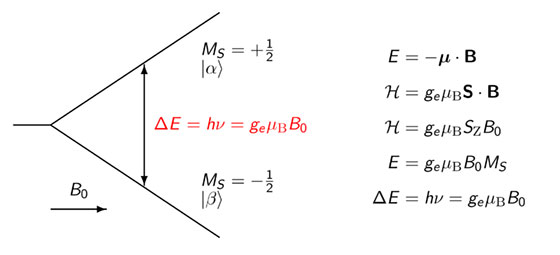 Das Resonanzphänomen der magnetischen Resonanz Das Resonanzphänomen der magnetischen Resonanz
