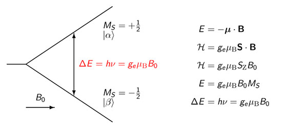 Das Resonanzphänomen der magnetischen Resonanz