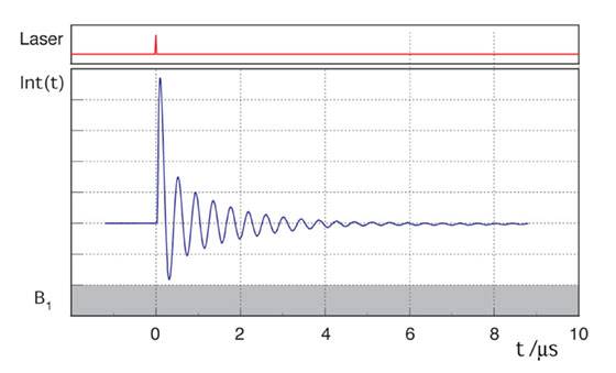transient-nutation.jpg