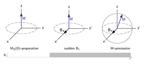 transientepr-b1.jpg