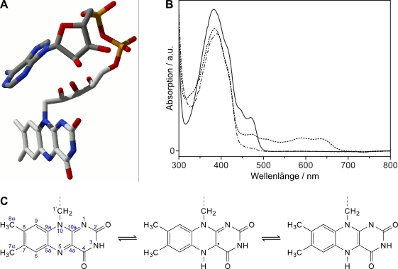 fadshapeuvvisredox.png