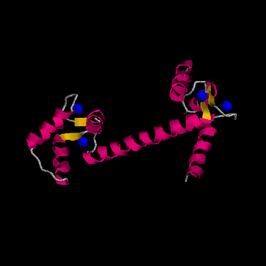 1cll.black.png