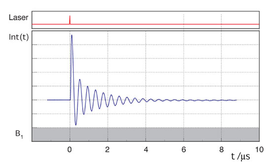 transient-nutation.jpg