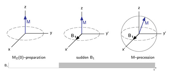 transientepr-b1.jpg